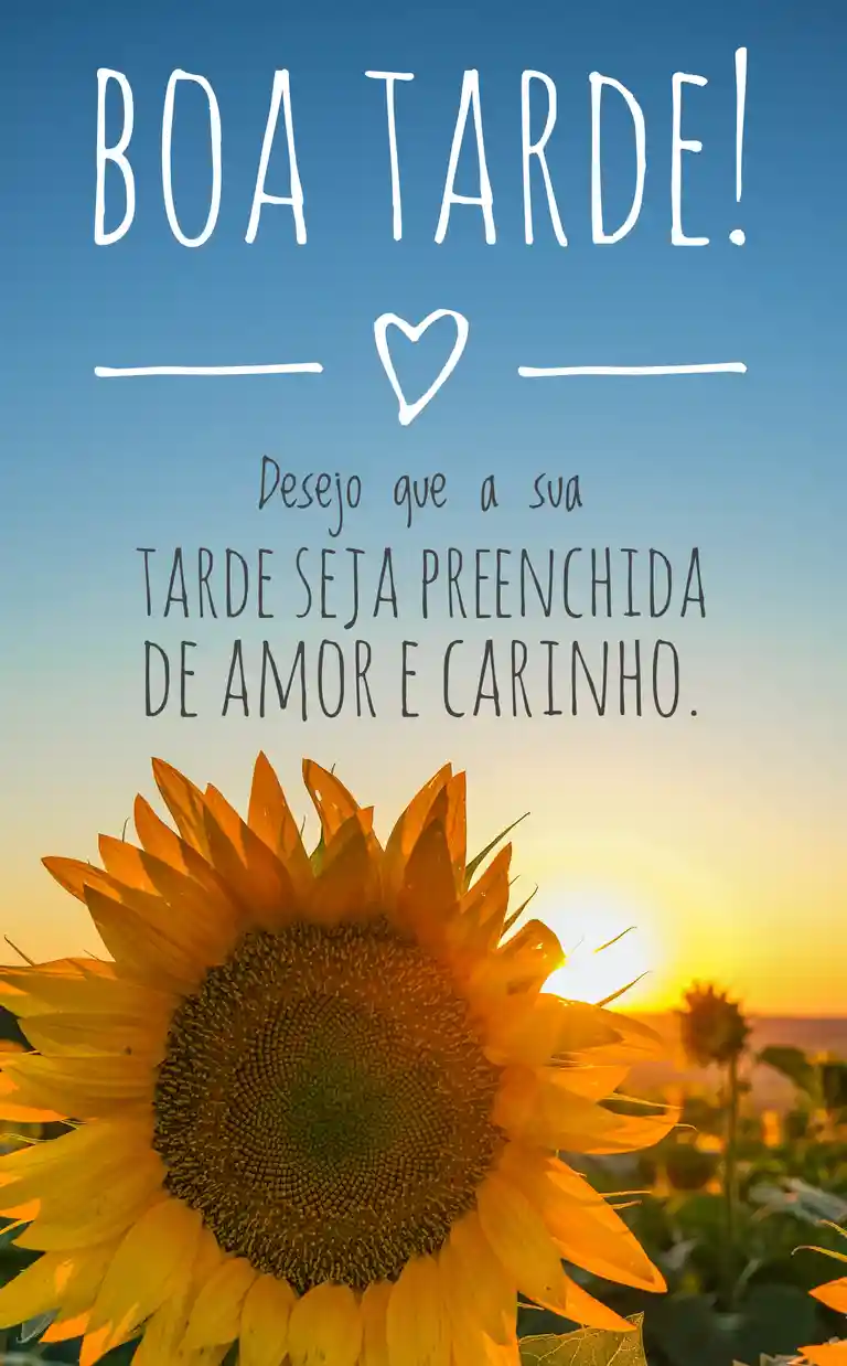 girasol de Mensagem de Boa Tarde com amor