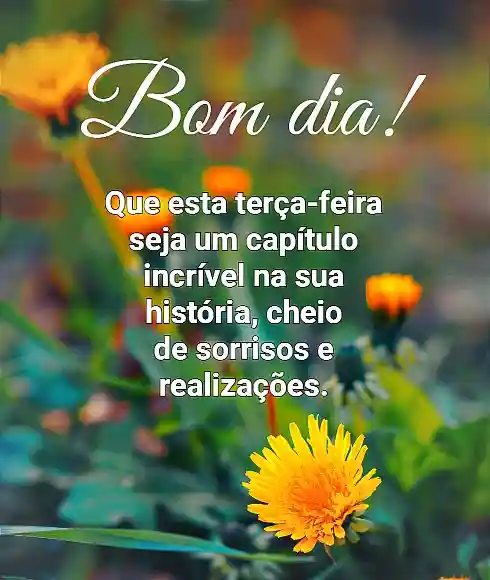 Mensagem de bom dia terça feira com flor