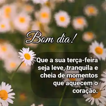 cartao bom dia com flor Mensagem de terça feira