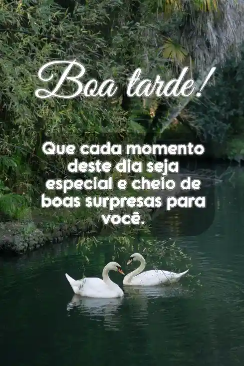 Mensagem de boa tarde para alguem especial