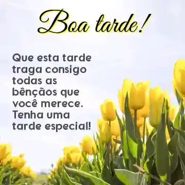 Mensagem de boa tarde especial