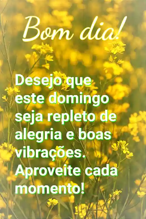 bom dia domingo com flores