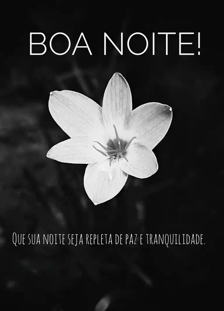 mensagem de boa noite gratis com flores