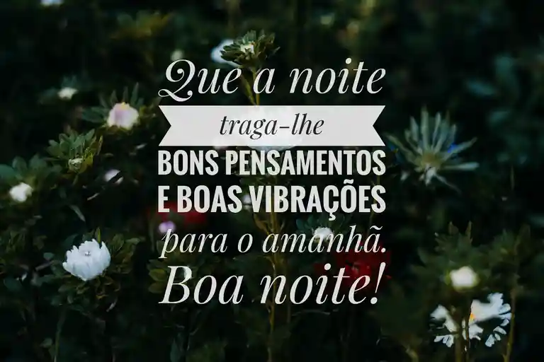 Boa Noite com Imagem de Flores para compartilhar no whatsapp